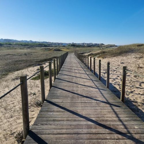 Board walks cover an impressive part of the way. They protect the dunes and provide a high viewpoint.