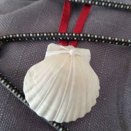 Scallop shell caught by my kids to keep me company along the way